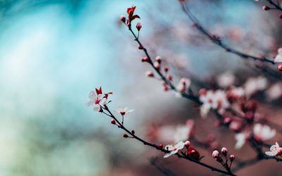 April 10, 2021 – This Saturday!