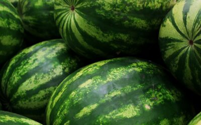 September 3, 2022 – This Saturday!